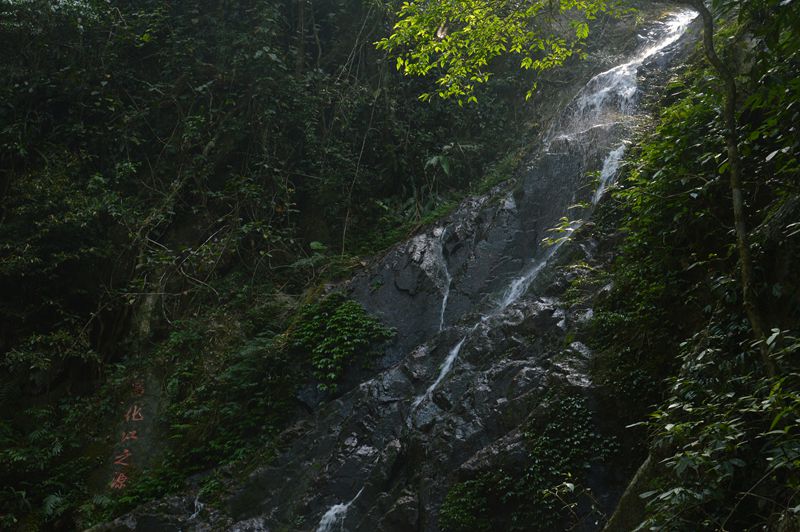 dsc_0631_.jpg