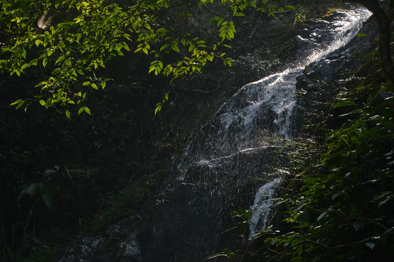 dsc_0633_.jpg
