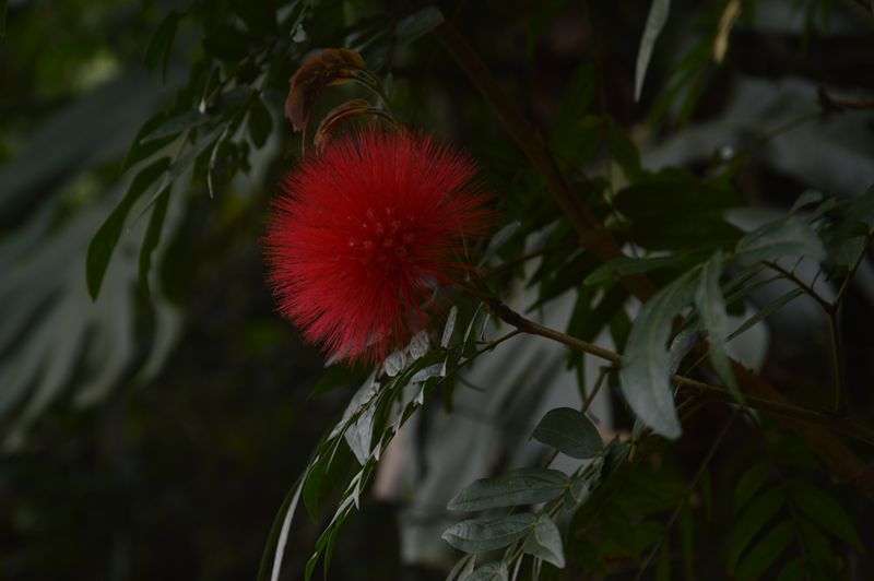 dsc_674_.jpg