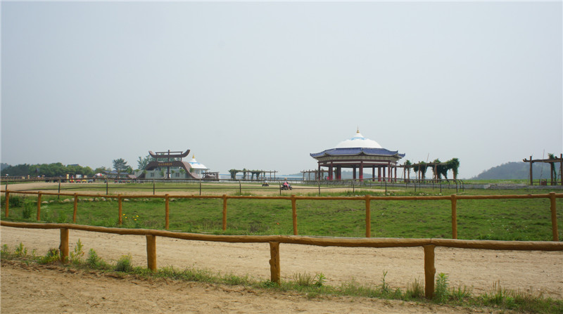 dsc08353.jpg