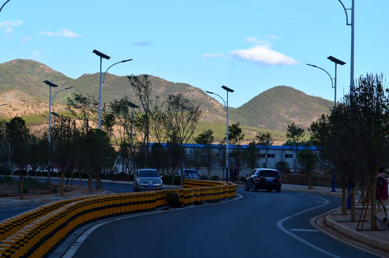 dsc_5266.jpg