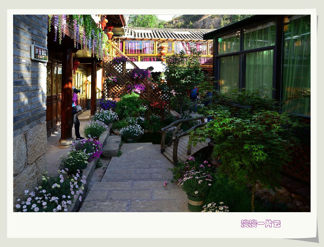 neo_img_dsc_6005.jpg