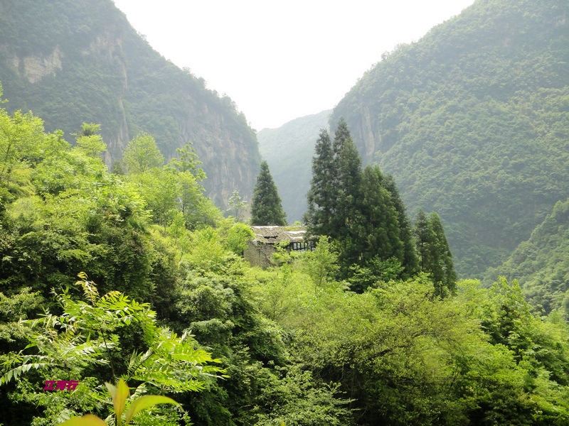 dsc02272.jpg