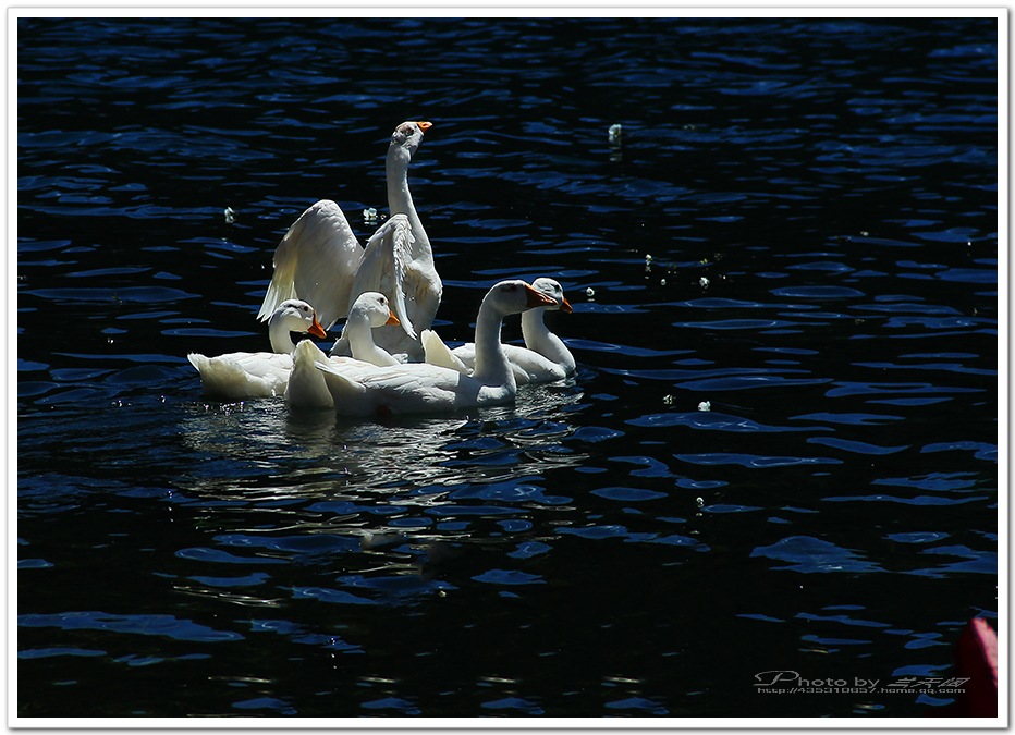 img_8210,.jpg