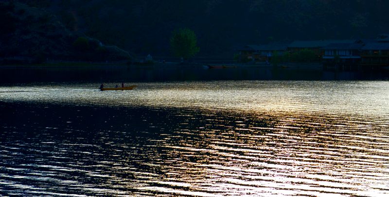 dsc_8229.jpg