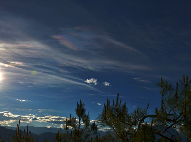 dsc_7875.jpg