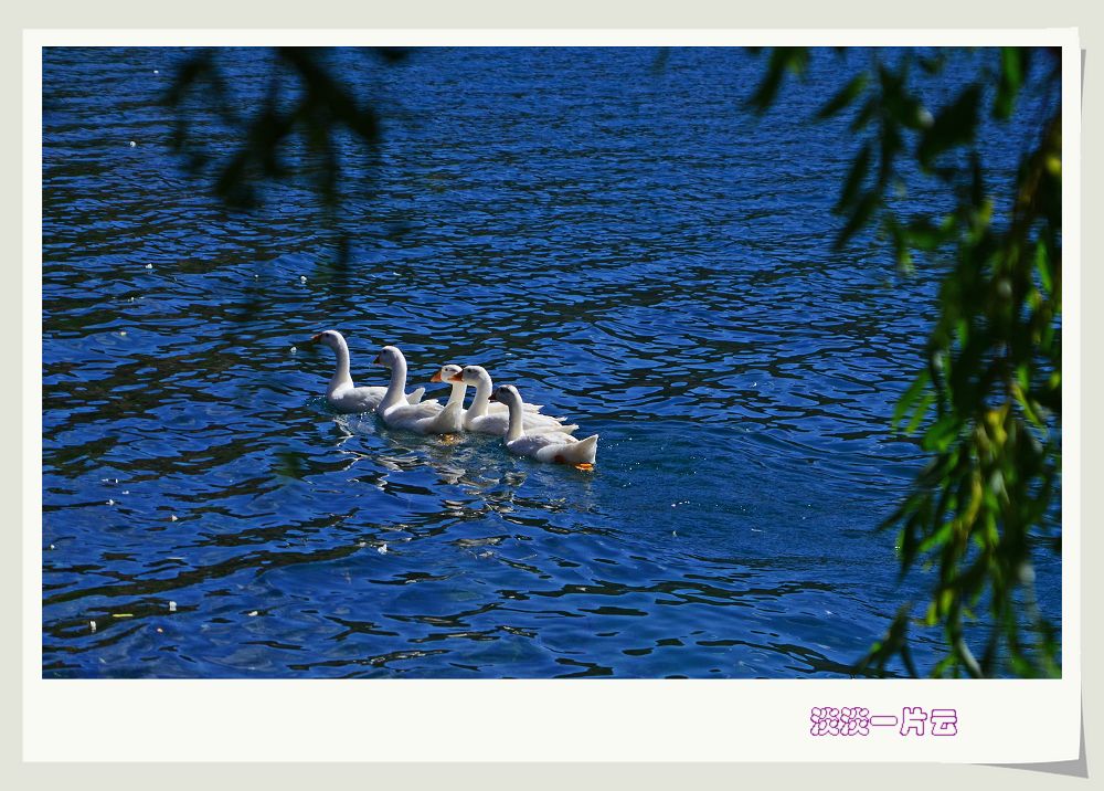 dsc_7541.jpg