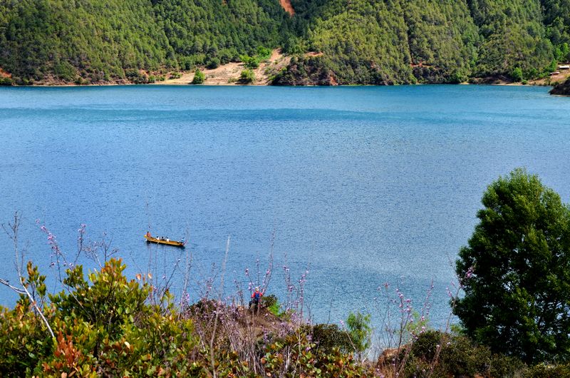 dsc_7147.jpg