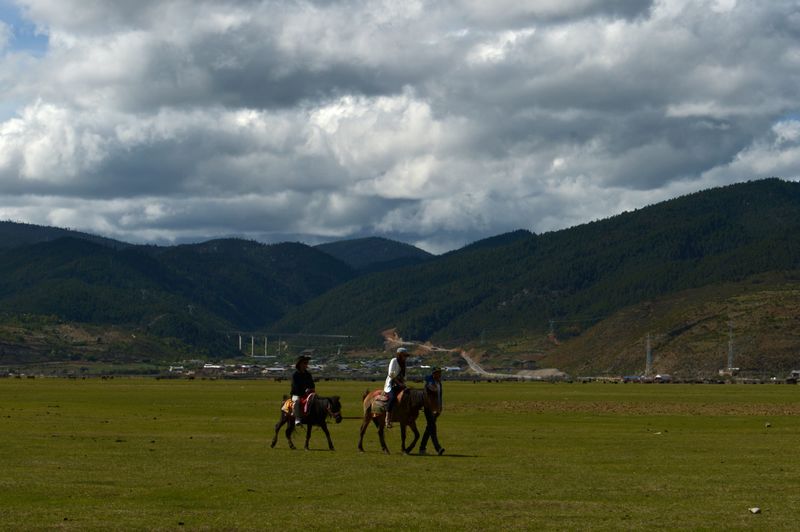dsc_8581.jpg