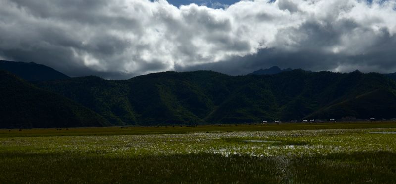 dsc_8666.jpg