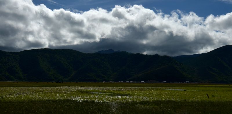 dsc_8663.jpg