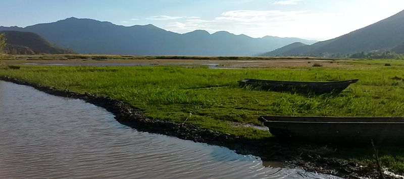 20140524_184158_.jpg