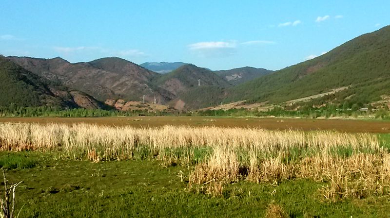 20140524_185149_.jpg