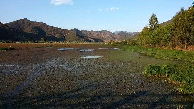 20140524_190602_.jpg