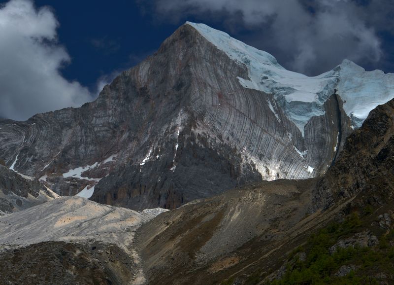 dsc_0203.jpg