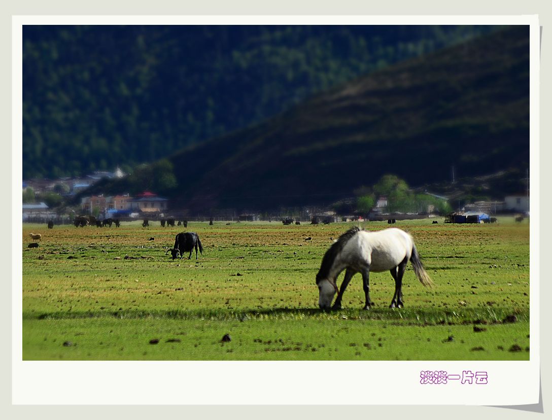 neo_img_dsc_8368.jpg