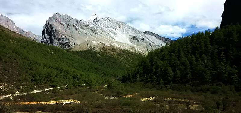20140529_165251_.jpg