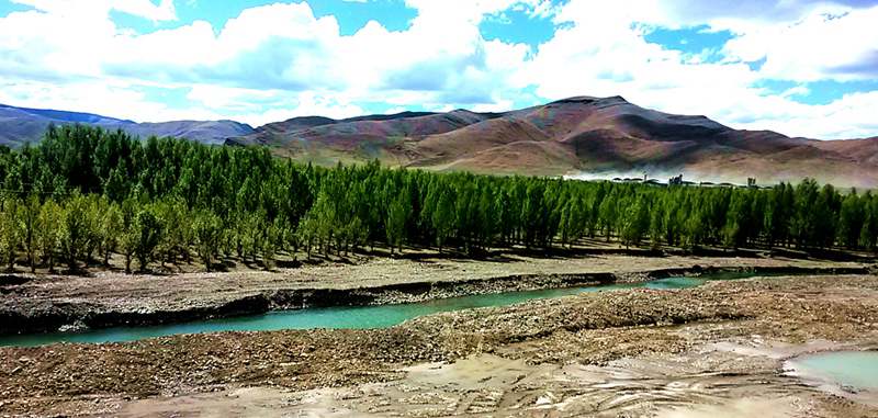 20140530_161542_.jpg