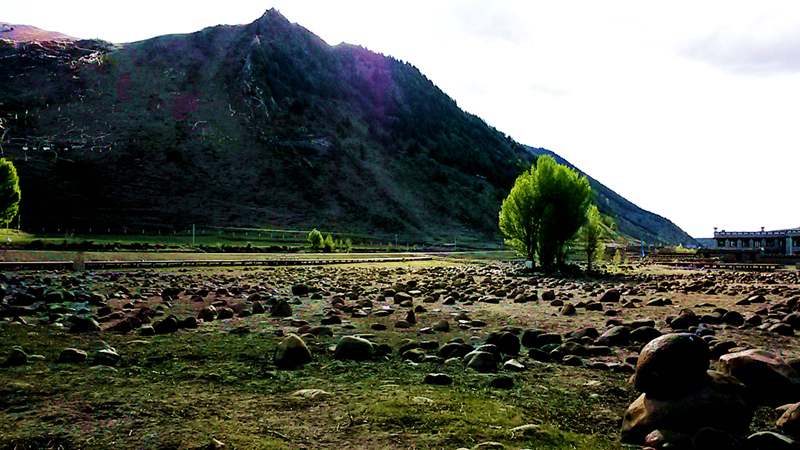 20140530_175428_.jpg