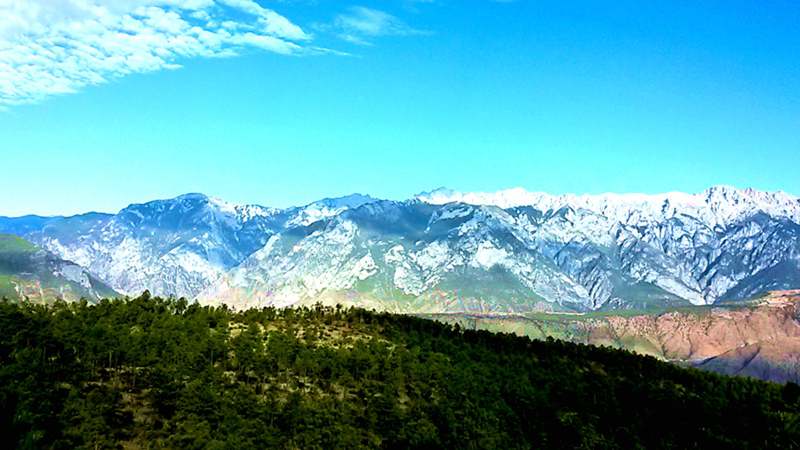 20140531_081026_.jpg