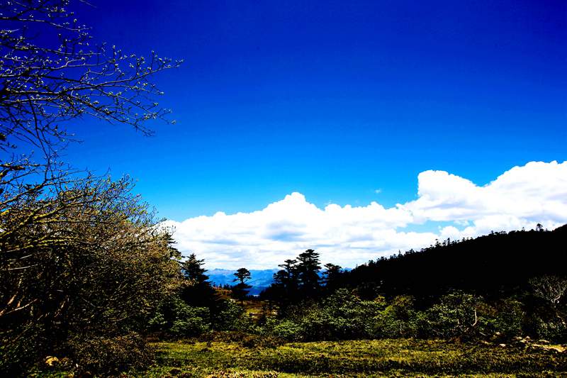 bw3p8599_.jpg