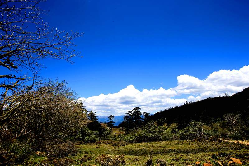 bw3p8600_.jpg