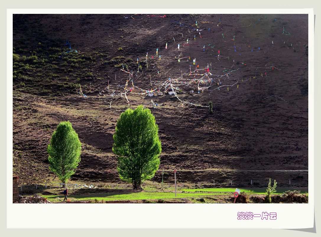 neo_img_dsc_9441.jpg