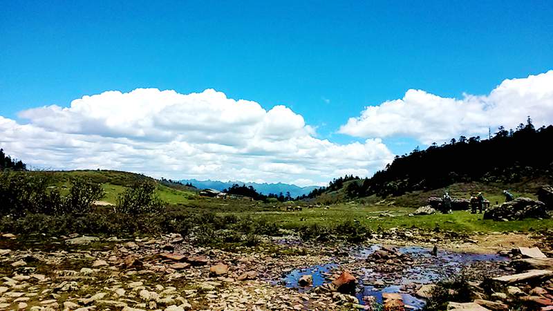20140601_125913_.jpg