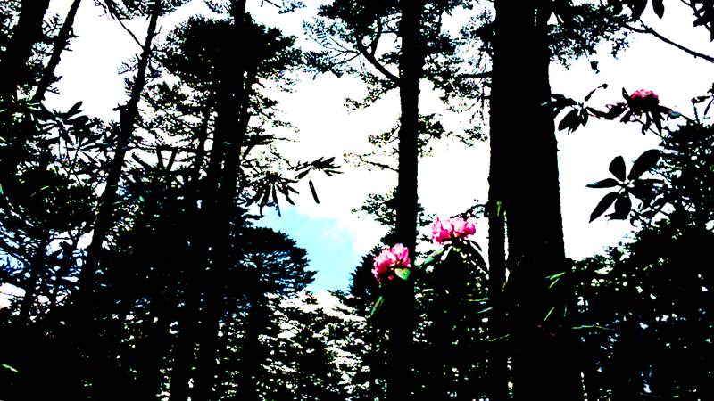 20140601_144704_.jpg