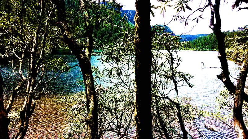 20140601_145902_.jpg