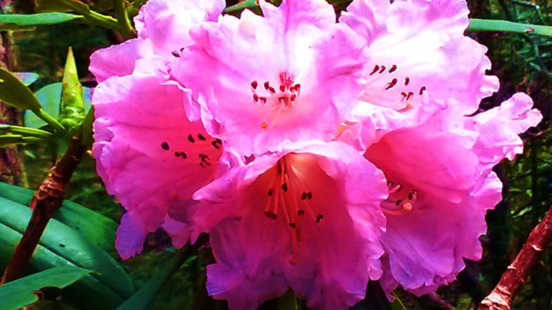 20140601_151505_.jpg