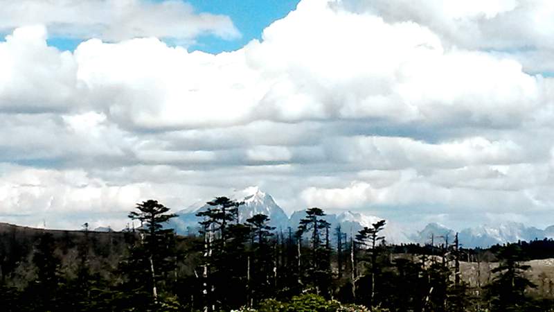 20140601_160346_.jpg