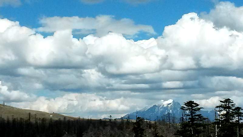 20140601_160423_.jpg
