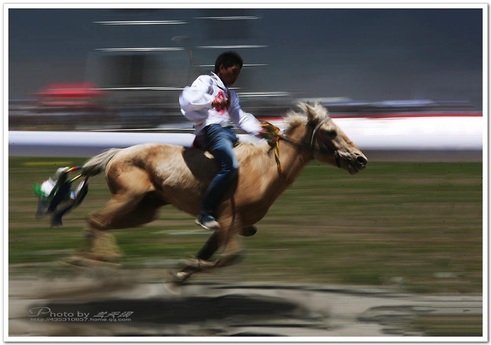 img_1431,.jpg