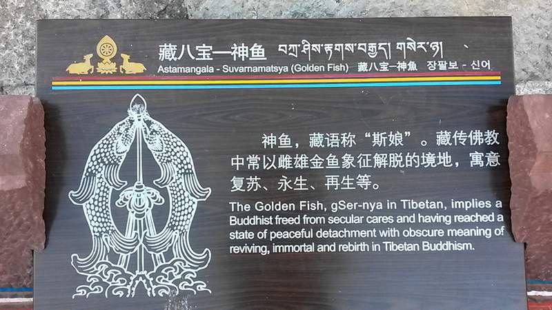 20140602_182633_.jpg