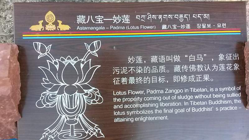 20140602_182659_.jpg