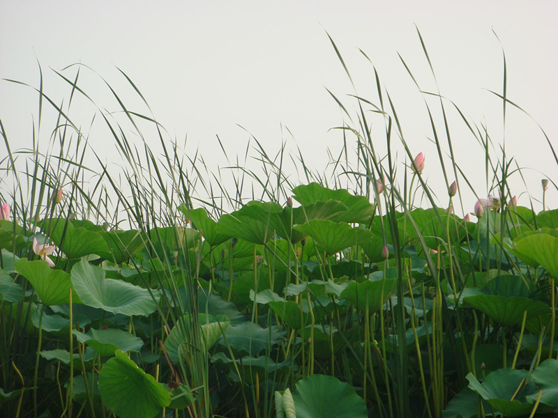 dsc06573_.jpg