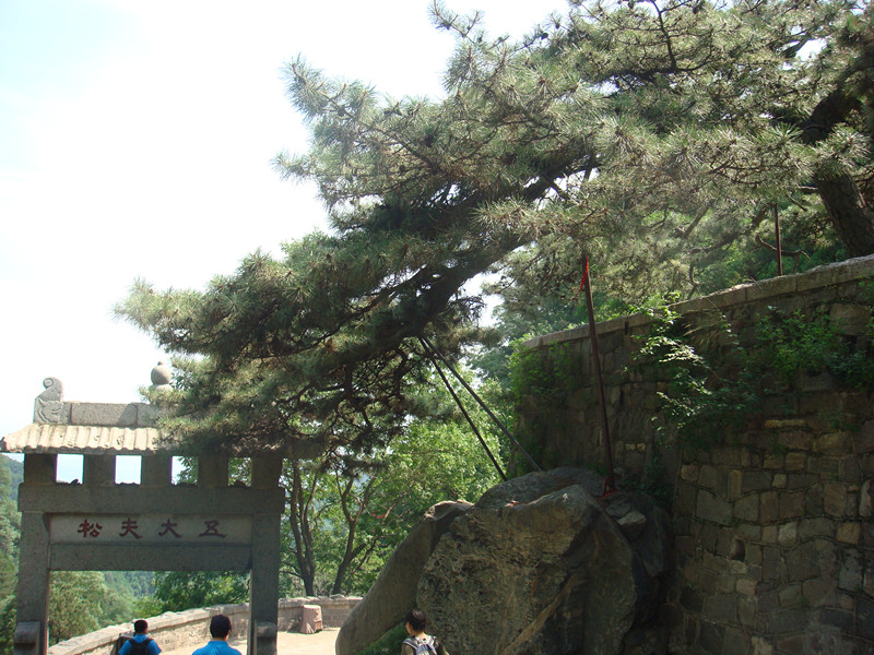 dsc06666_.jpg