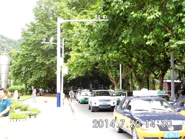 dsci2075.jpg