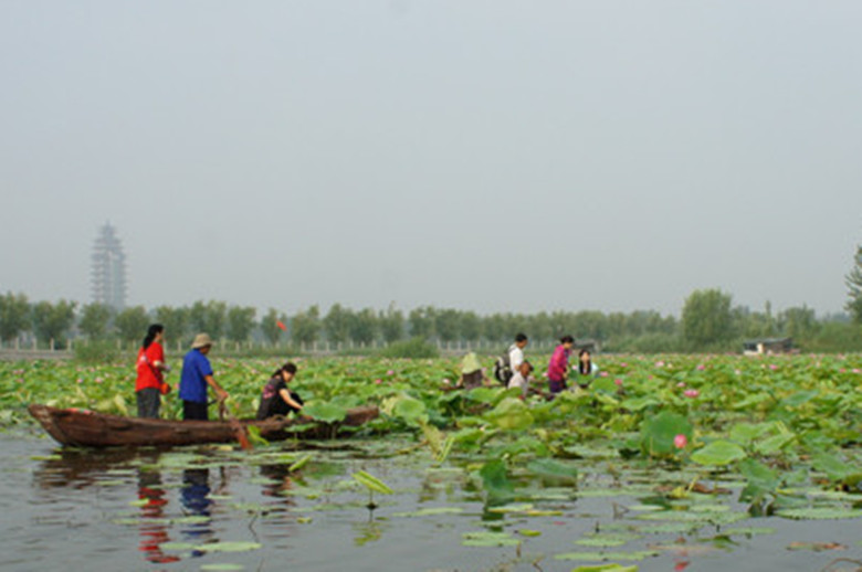 dsc08882_.jpg
