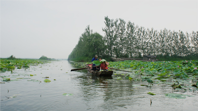 dsc08918_.jpg