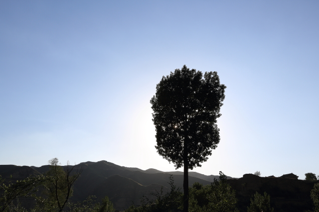 c08a6767.jpg