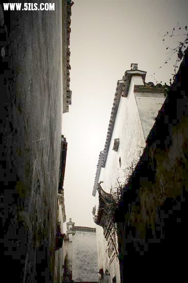 IMG_7740.JPG