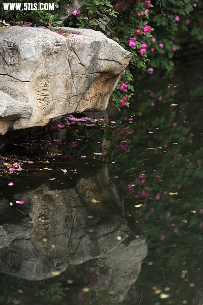 DSC_3613.jpg