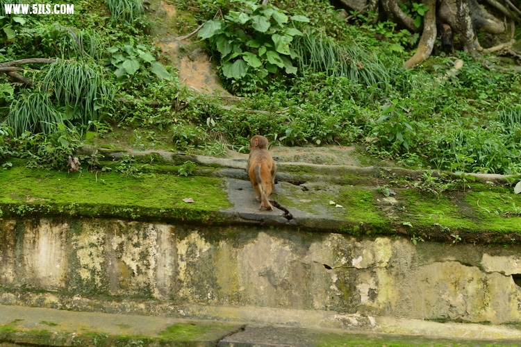 810_0007.JPG