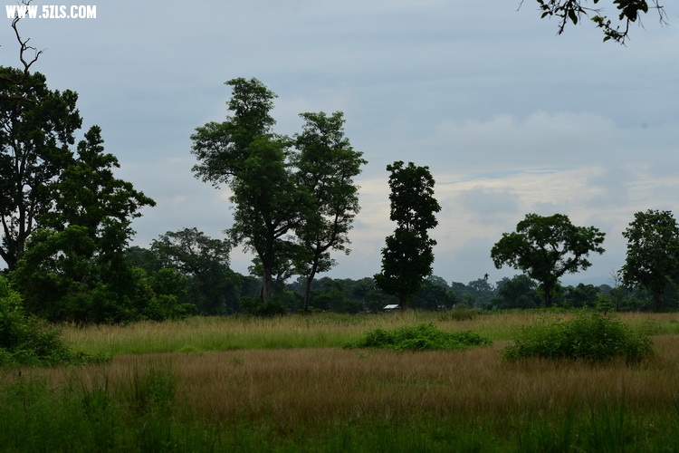 807_8813.JPG