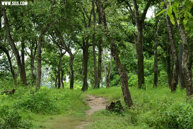 807_8820.JPG