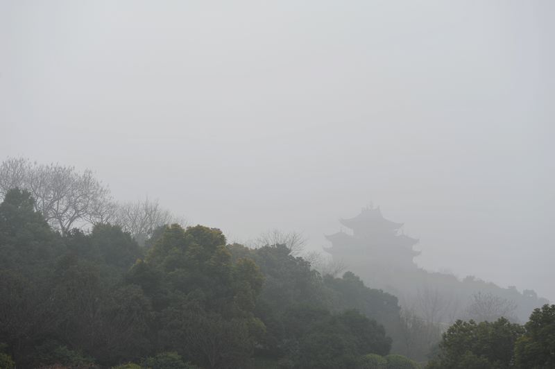 DSC_5652.jpg
