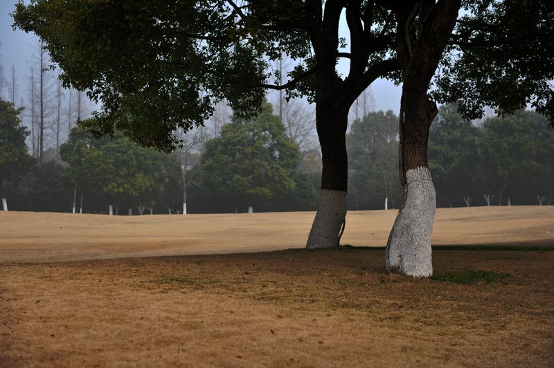 DSC_5757.jpg