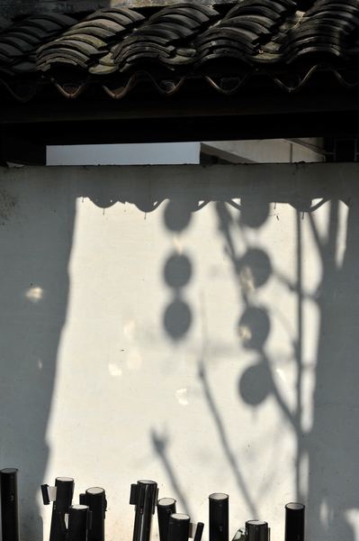 DSC_6531.jpg